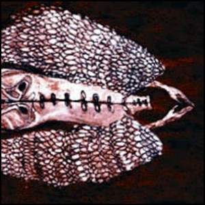 Cerberus Shoal - Homb 1999