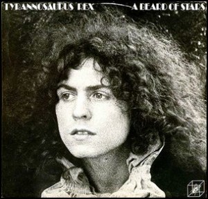 Tyrannosaurus Rex - A Beard Of Stars