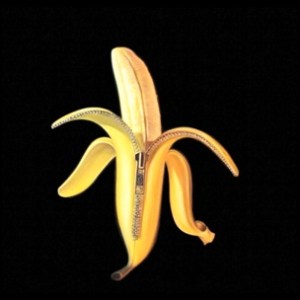 Welcome to the monkey house