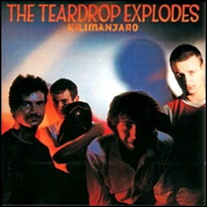 teardrop_explodes_-_kilimanjaro