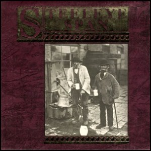 steeleye_span_-_ten_man_mop